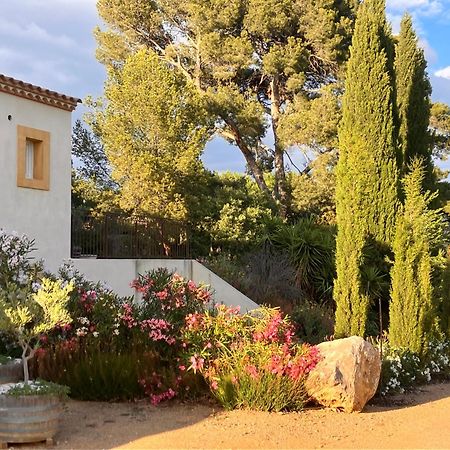 Domaine De L'Herbe Sainte Mirepeisset エクステリア 写真