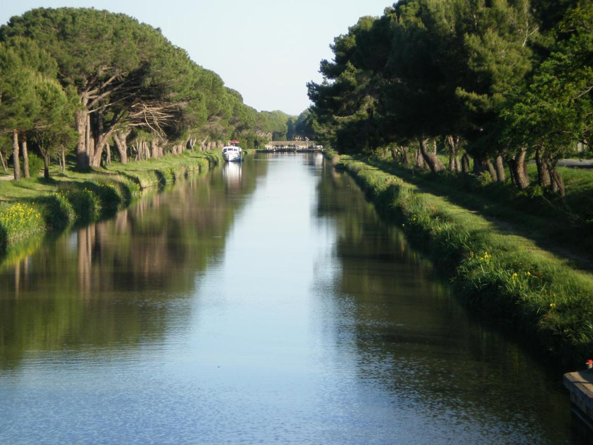 Domaine De L'Herbe Sainte Mirepeisset エクステリア 写真