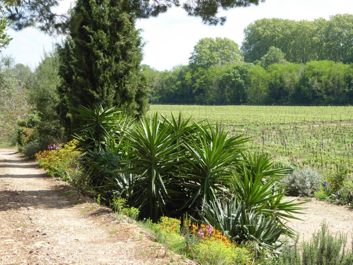 Domaine De L'Herbe Sainte Mirepeisset エクステリア 写真