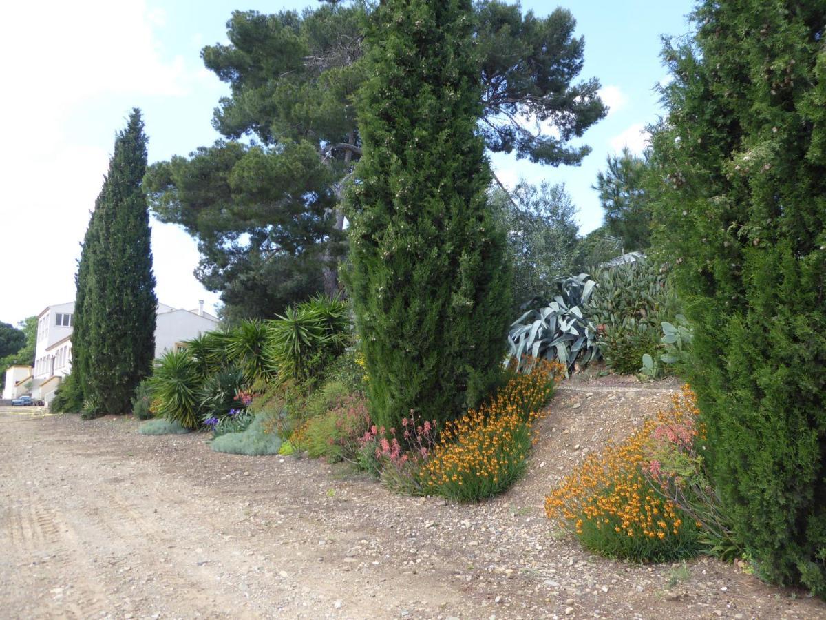 Domaine De L'Herbe Sainte Mirepeisset エクステリア 写真