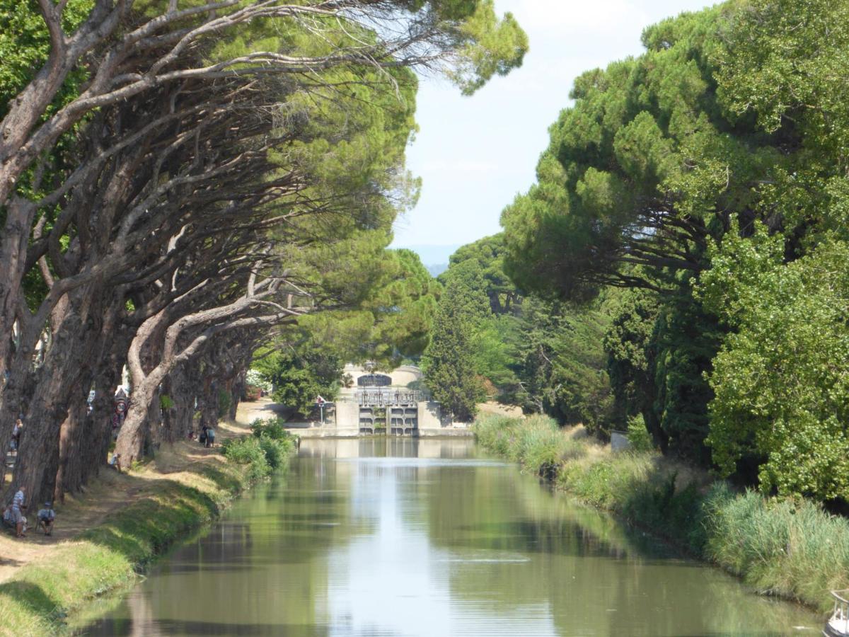 Domaine De L'Herbe Sainte Mirepeisset エクステリア 写真