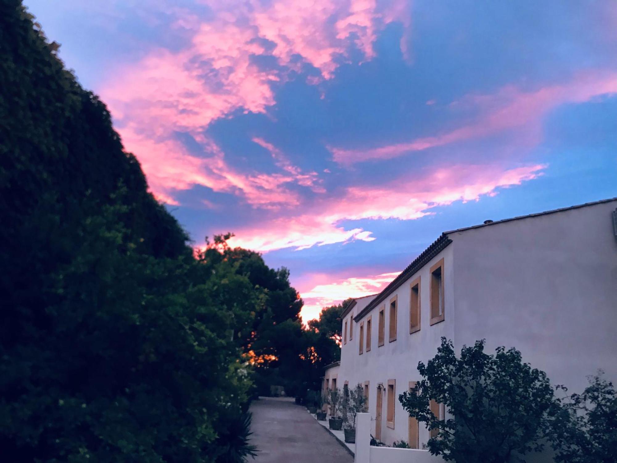 Domaine De L'Herbe Sainte Mirepeisset エクステリア 写真