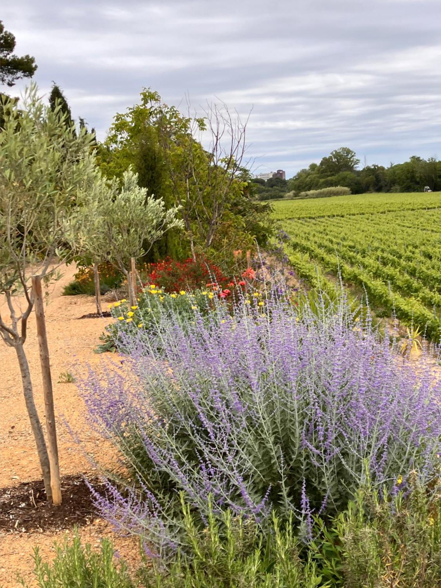 Domaine De L'Herbe Sainte Mirepeisset エクステリア 写真