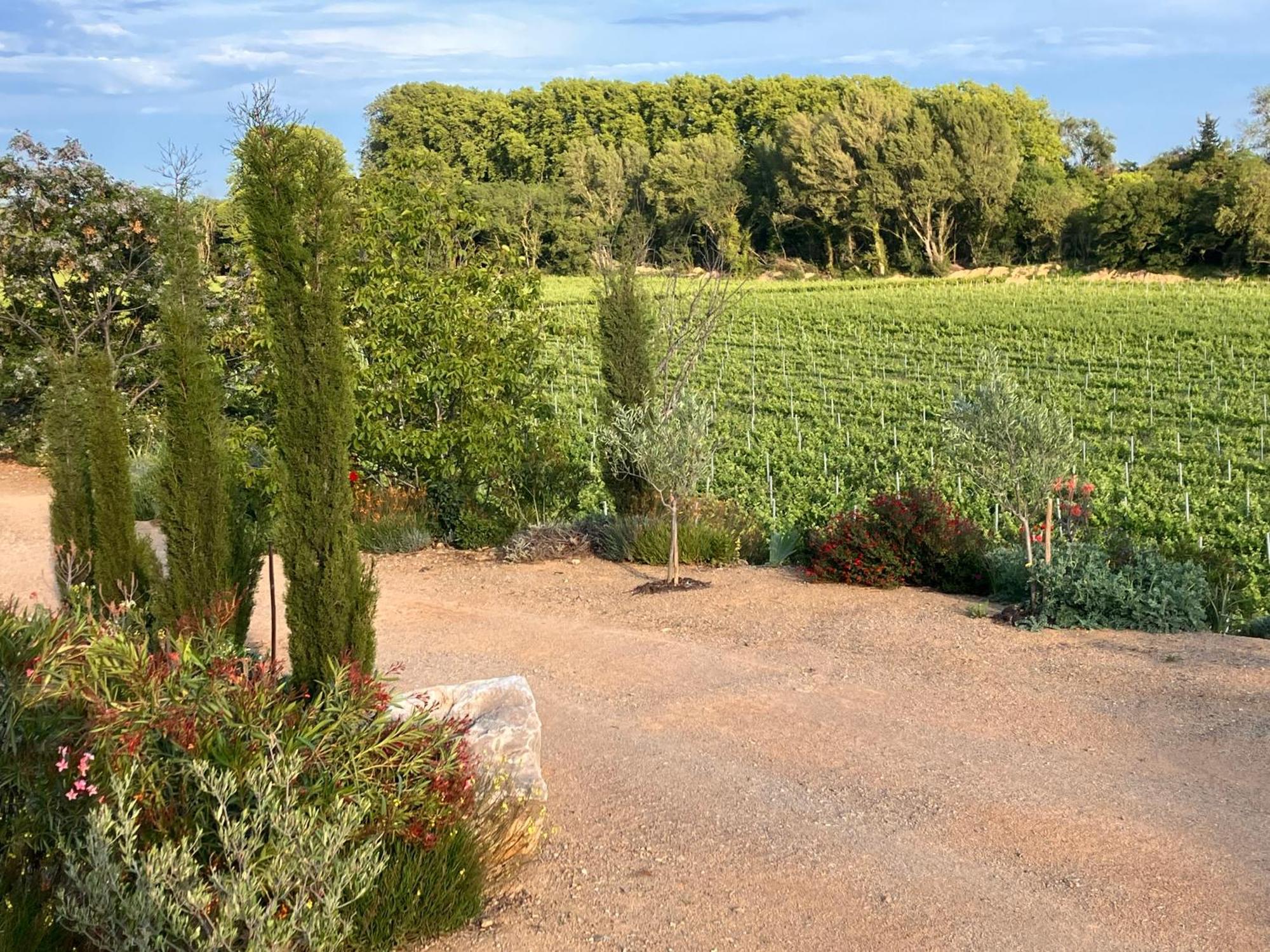 Domaine De L'Herbe Sainte Mirepeisset エクステリア 写真