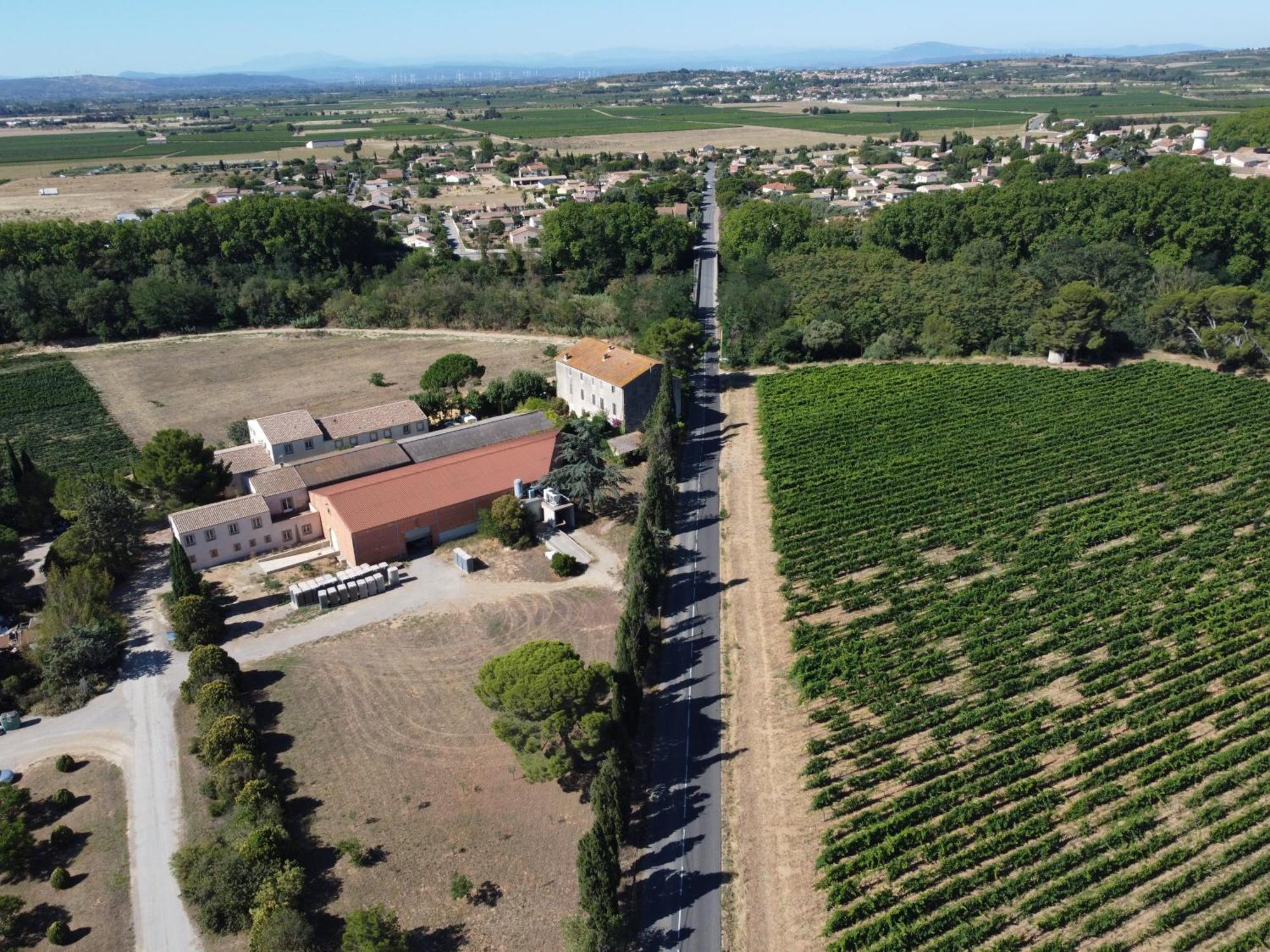 Domaine De L'Herbe Sainte Mirepeisset エクステリア 写真