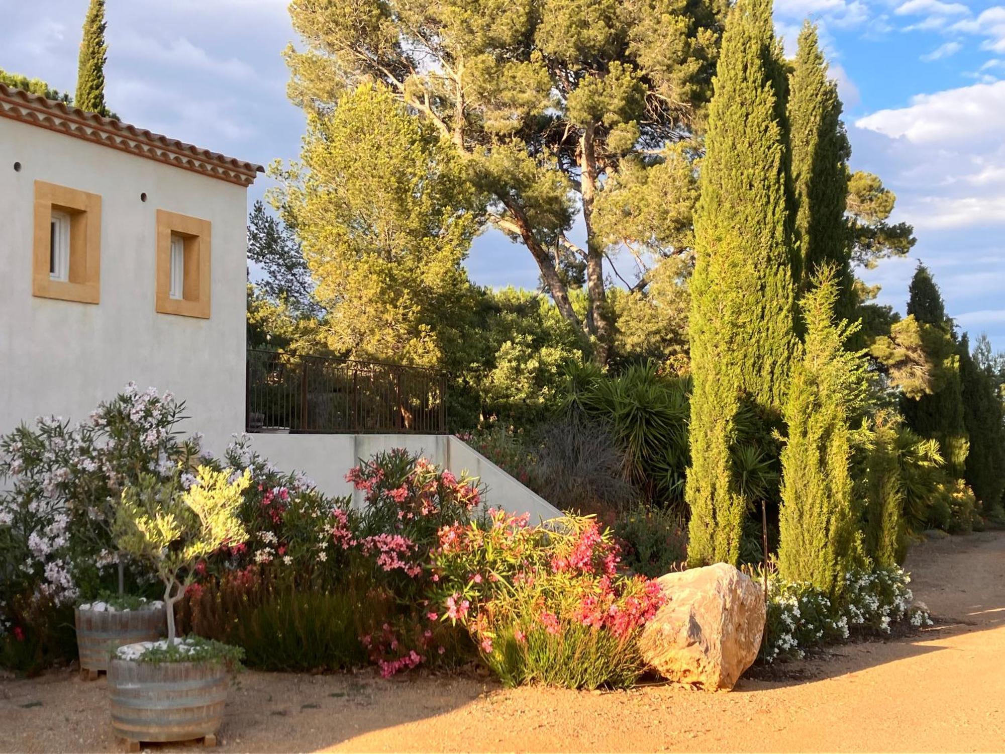 Domaine De L'Herbe Sainte Mirepeisset エクステリア 写真