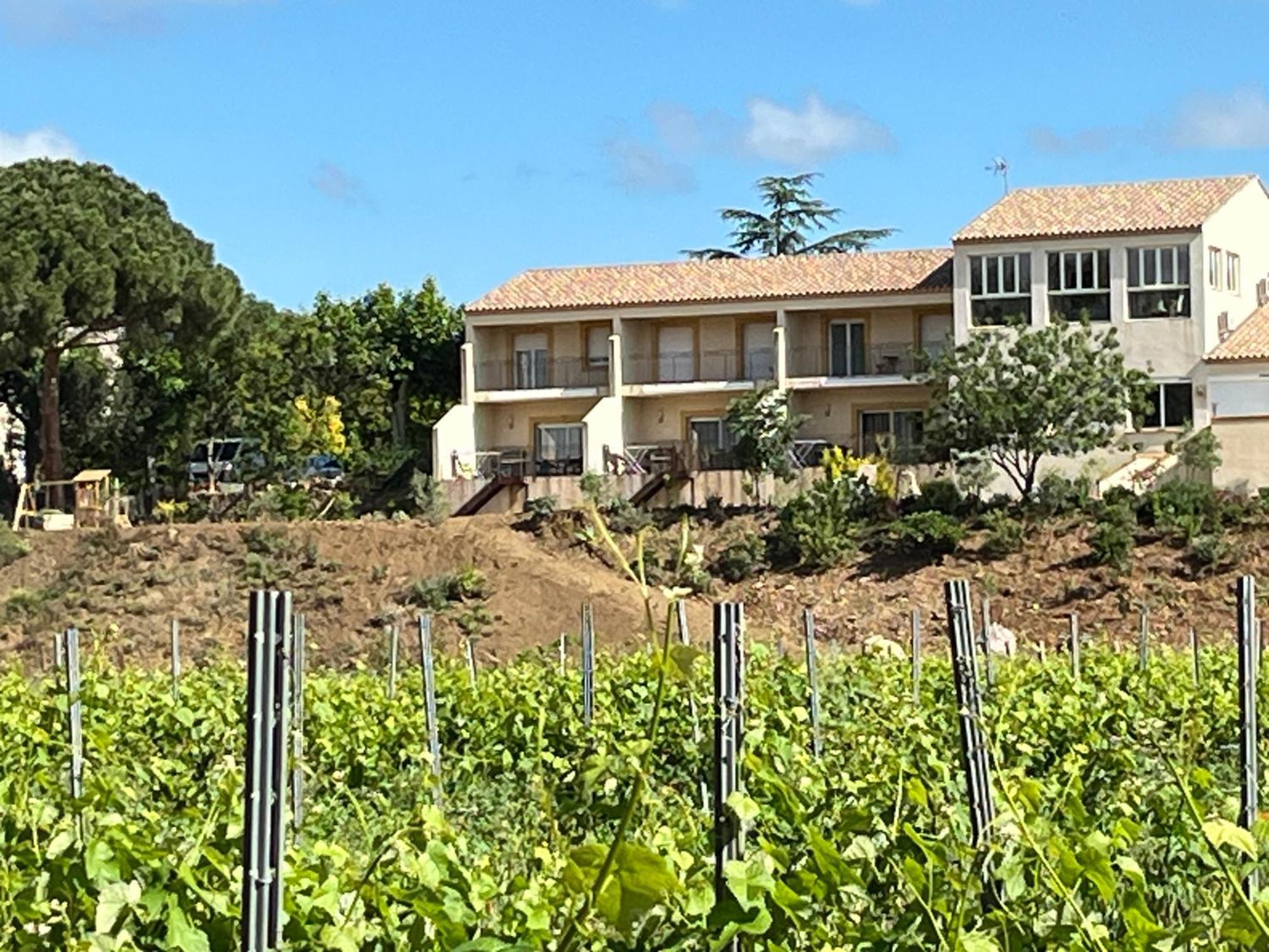 Domaine De L'Herbe Sainte Mirepeisset エクステリア 写真