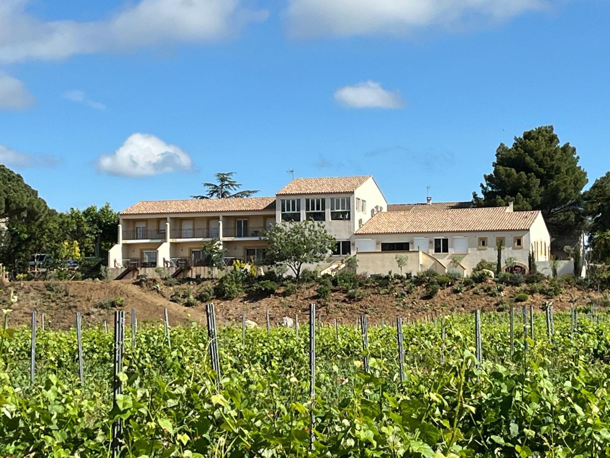 Domaine De L'Herbe Sainte Mirepeisset エクステリア 写真